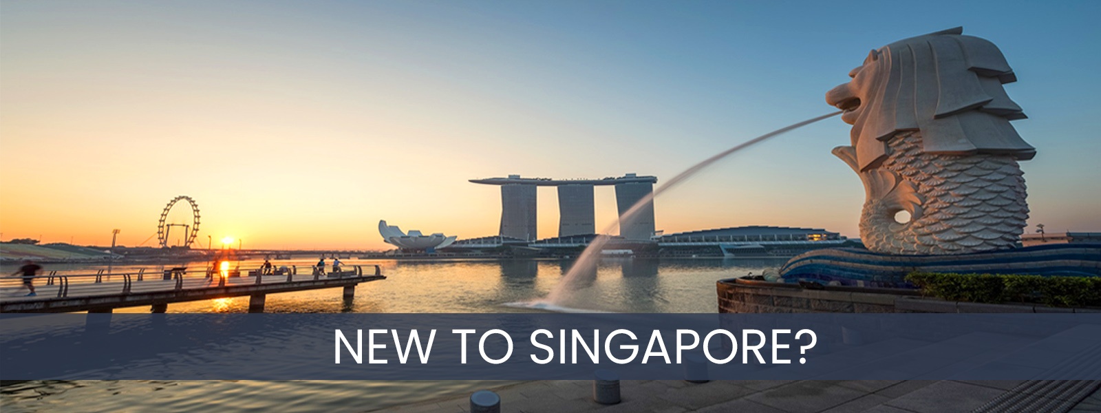 New-To-Singapore